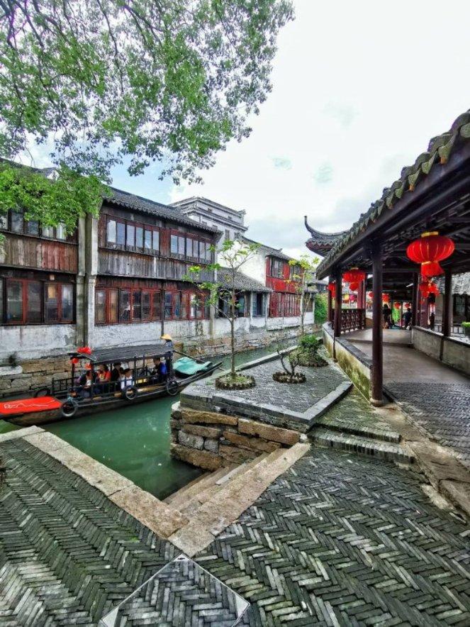 救援大嘴鸟
